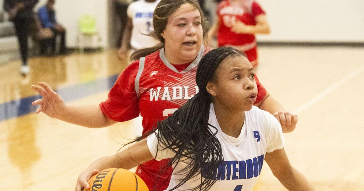AnnistonStar.com - Prep basketball: Winterboro boys, girls sweep Class 1A, Area 8 matchups image