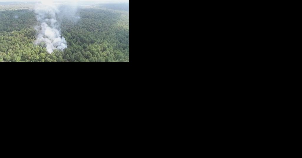 Alabama Forestry Commission issues a fire alert - Vimarsana News