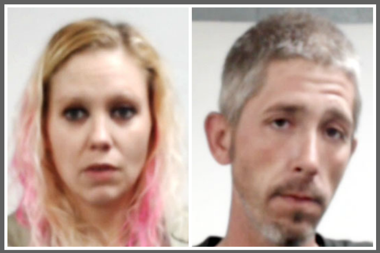 Pell City couple arrested on drug charges following execution of search