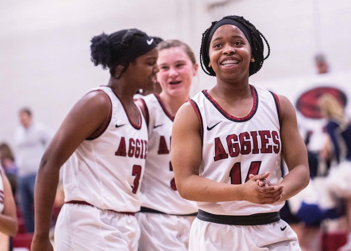 Sylacauga Lady Aggies defeat Briarwood Christian to advance
