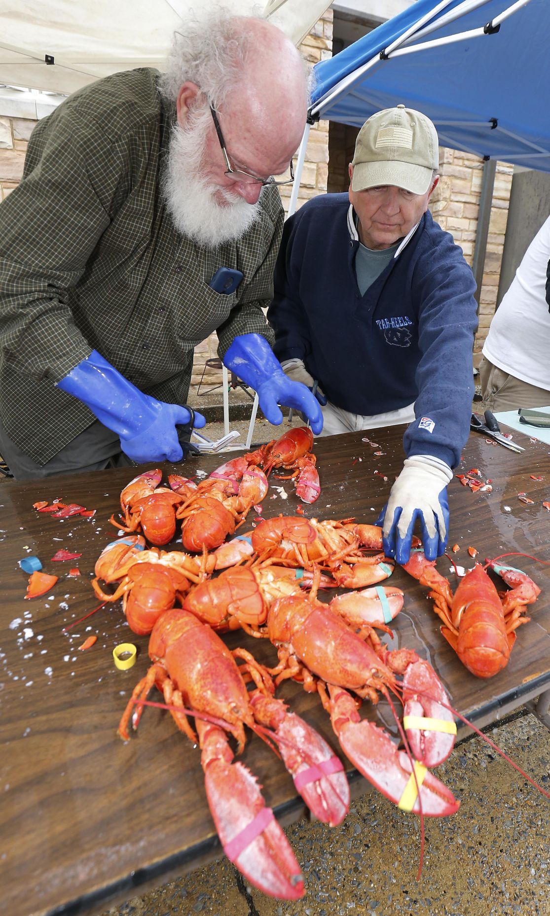 Photos Lobsterfest News
