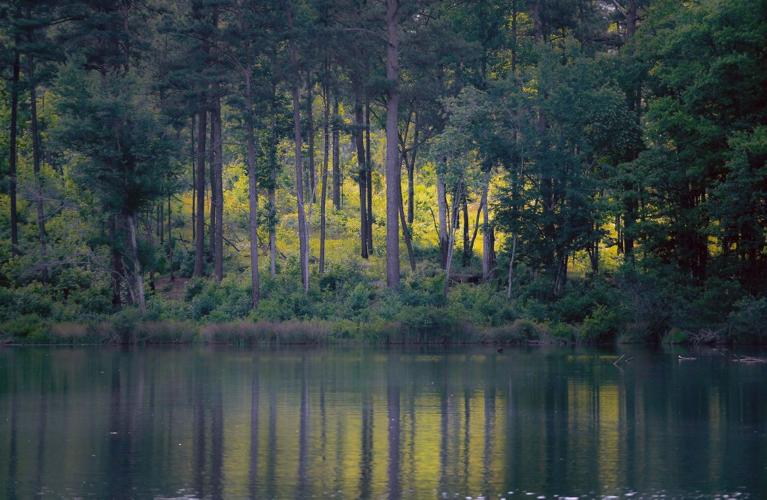 Images from Coleman Lake Slideshows