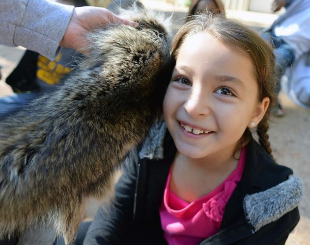 DeArmanville Elementary Field Trip Slideshows