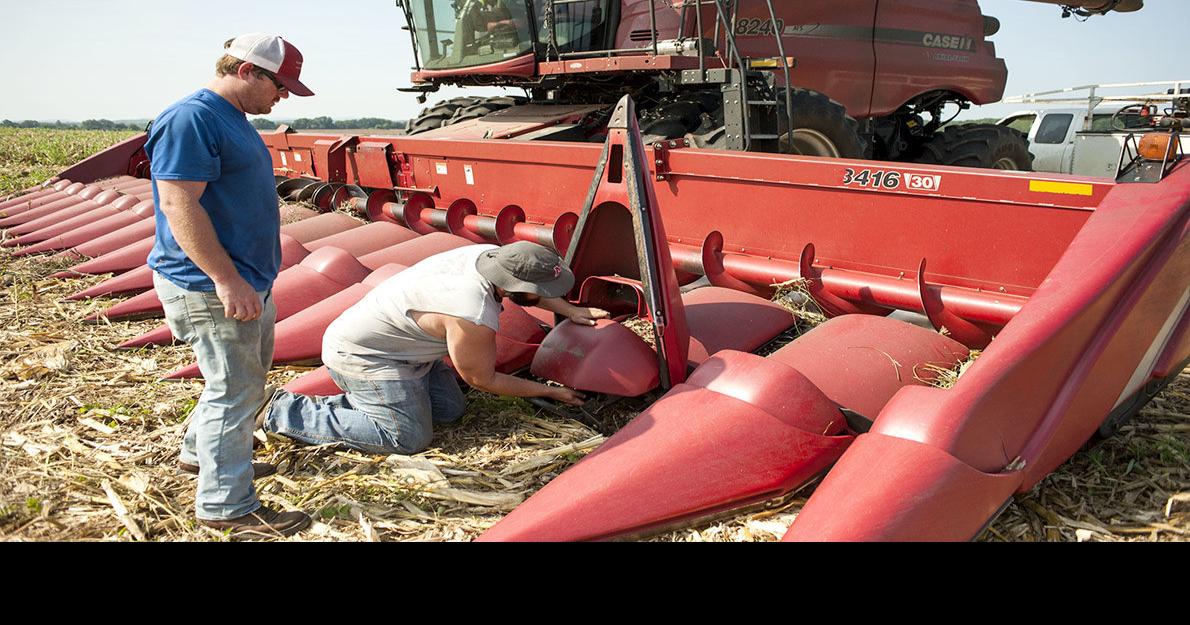 CORN HARVEST Stockdale Farms employees prepare for process that takes