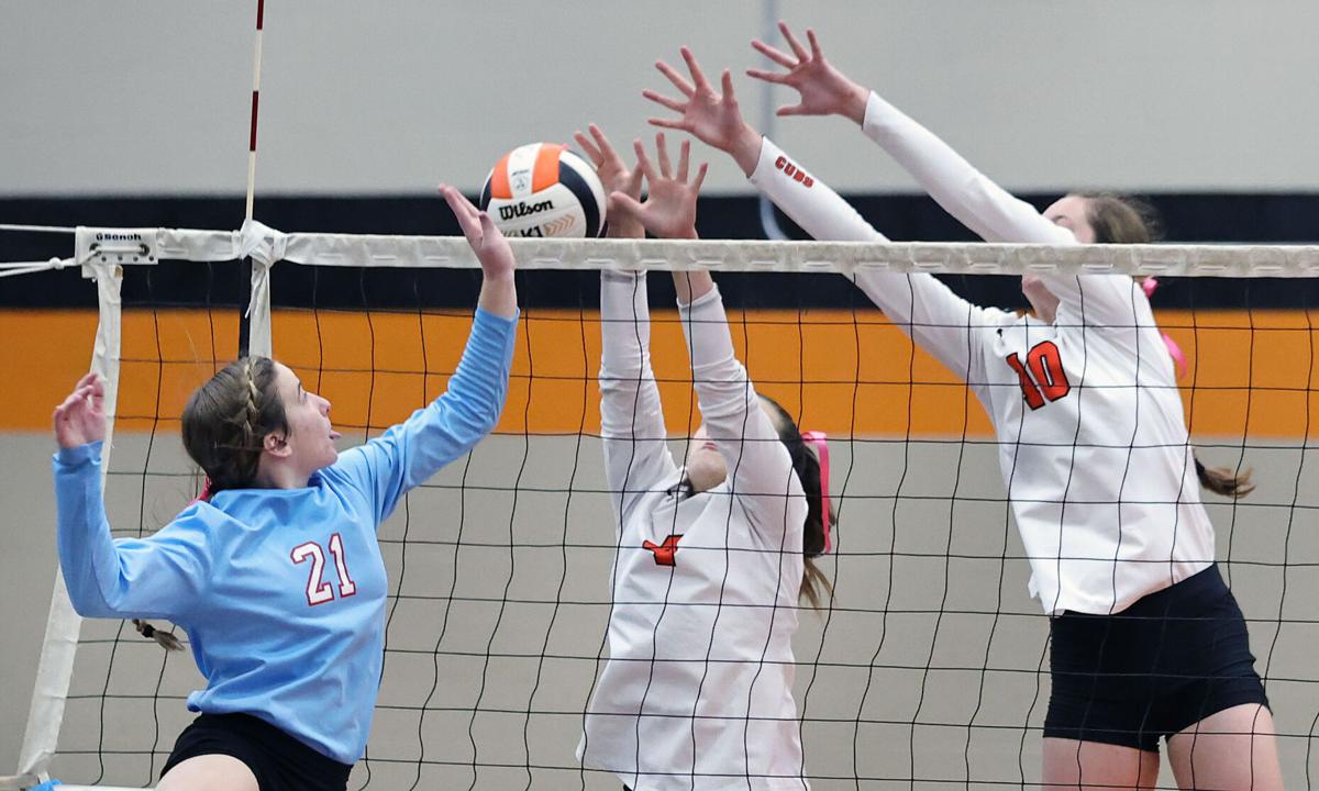 Alexandria PV volleyball