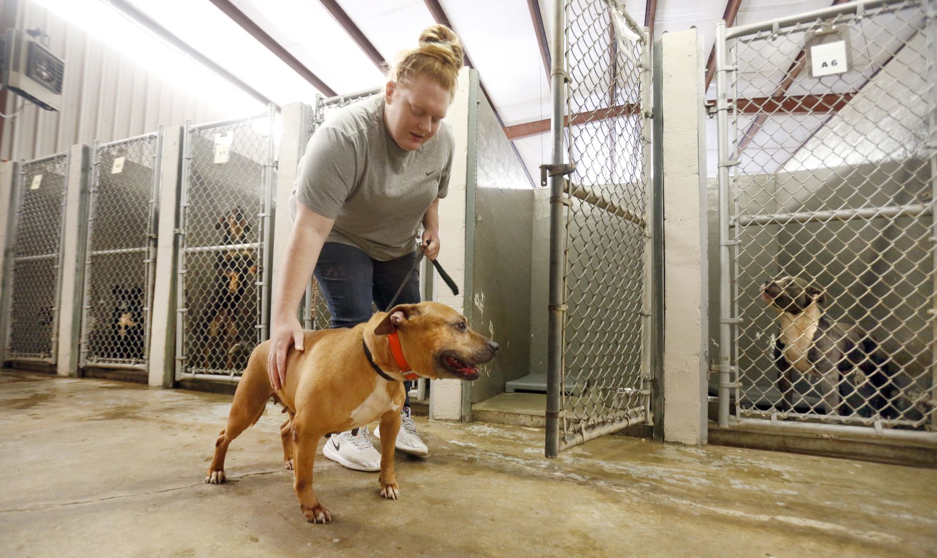 animal control center