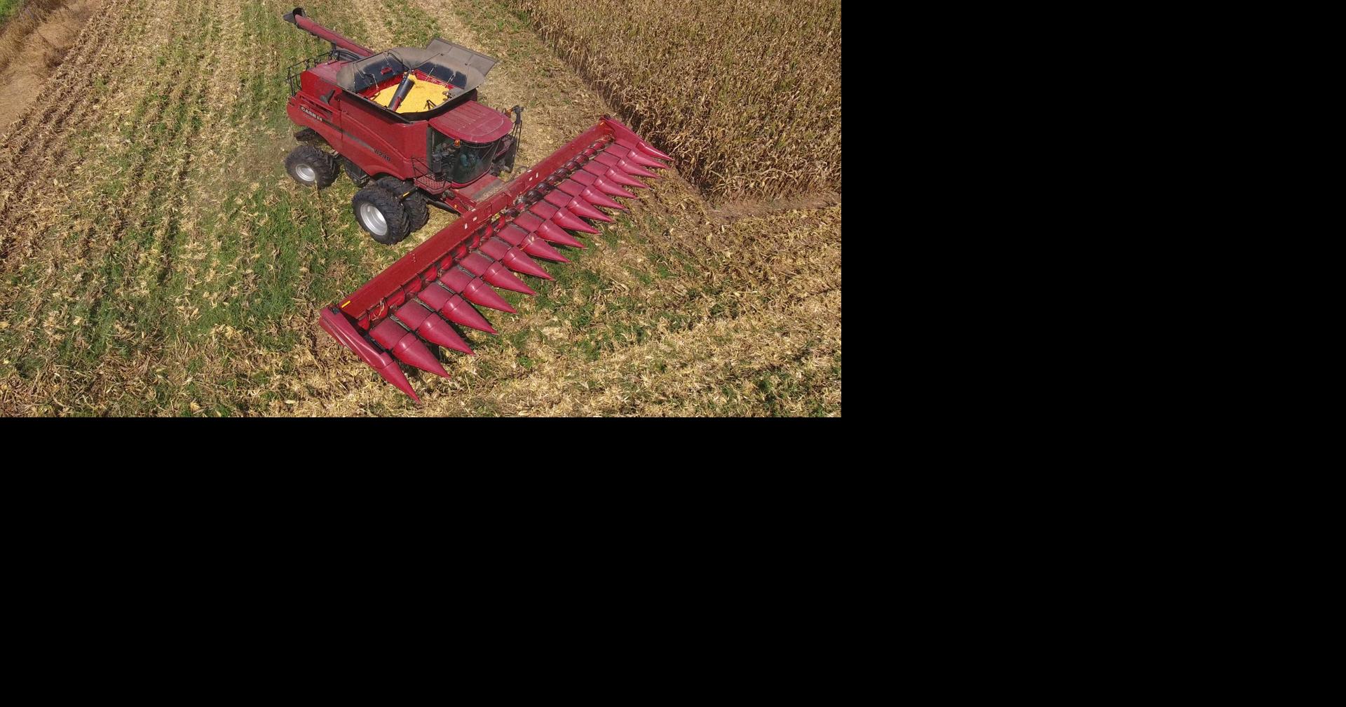 Stockdale Farms corn harvest (gallery, video) Slideshows