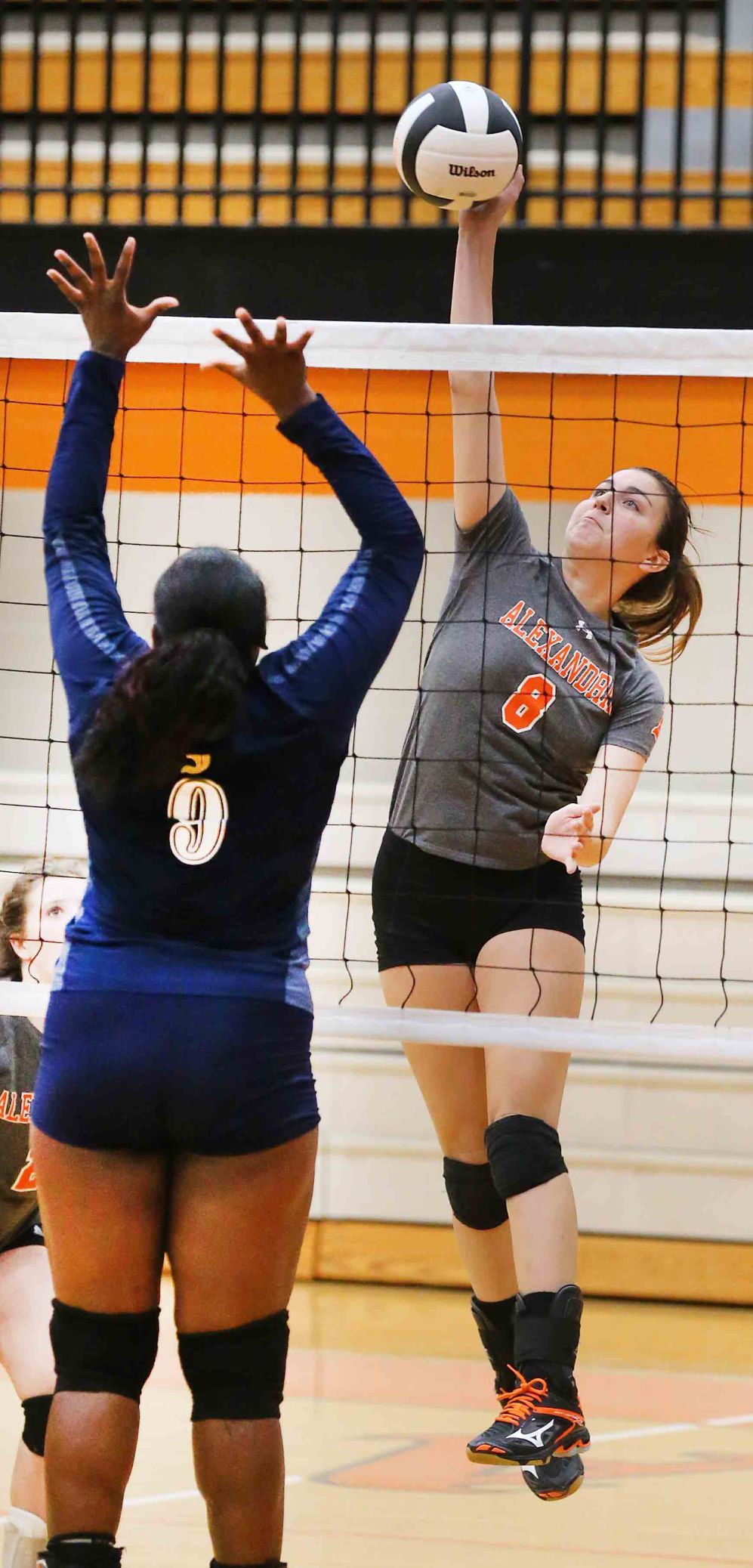 Jacksonville at Alexandria Volleyball Match Slideshows