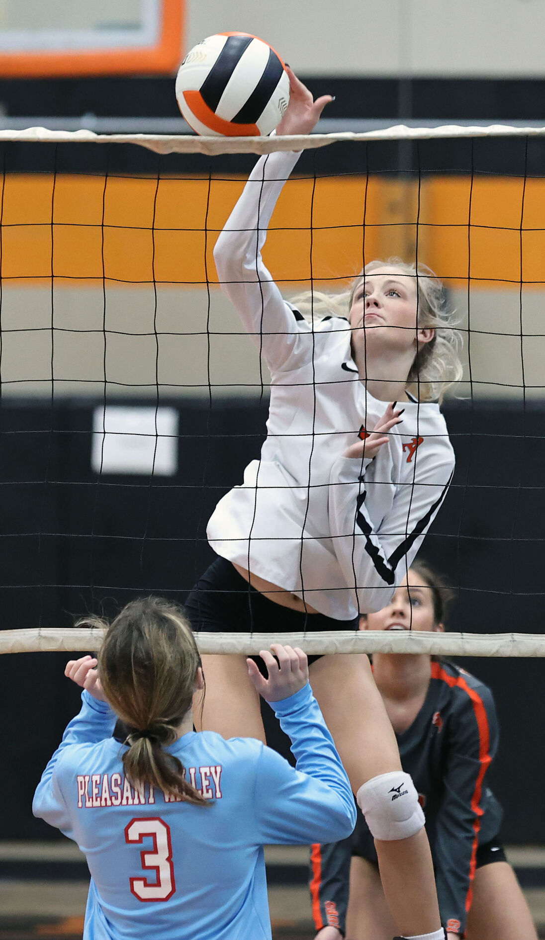 Alexandria PV volleyball
