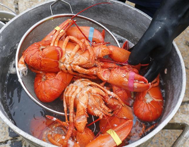 Photos Lobsterfest News