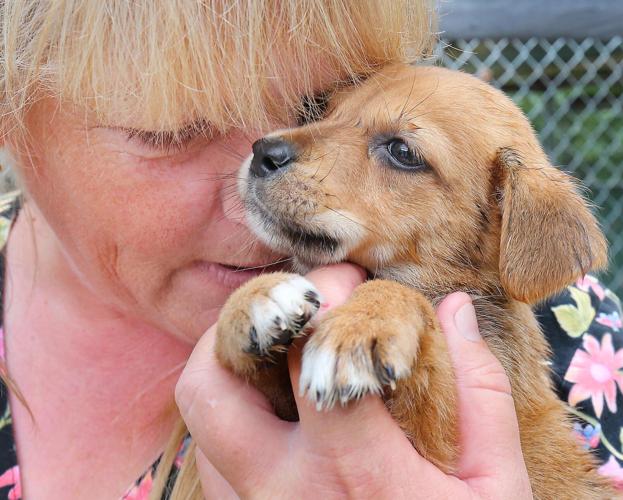 Stephen Gross' Favorite photos during 45 years at The Anniston Star