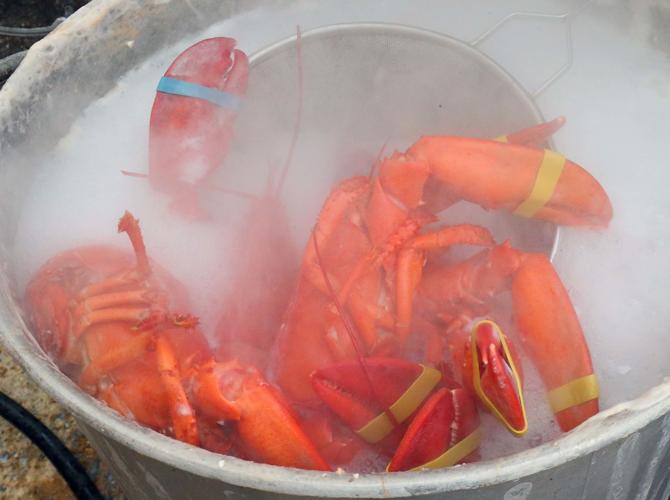 Lobsterfest News