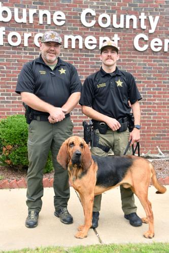 Missing toddler found safe thanks to Cleburne County K-9 Opie ...
