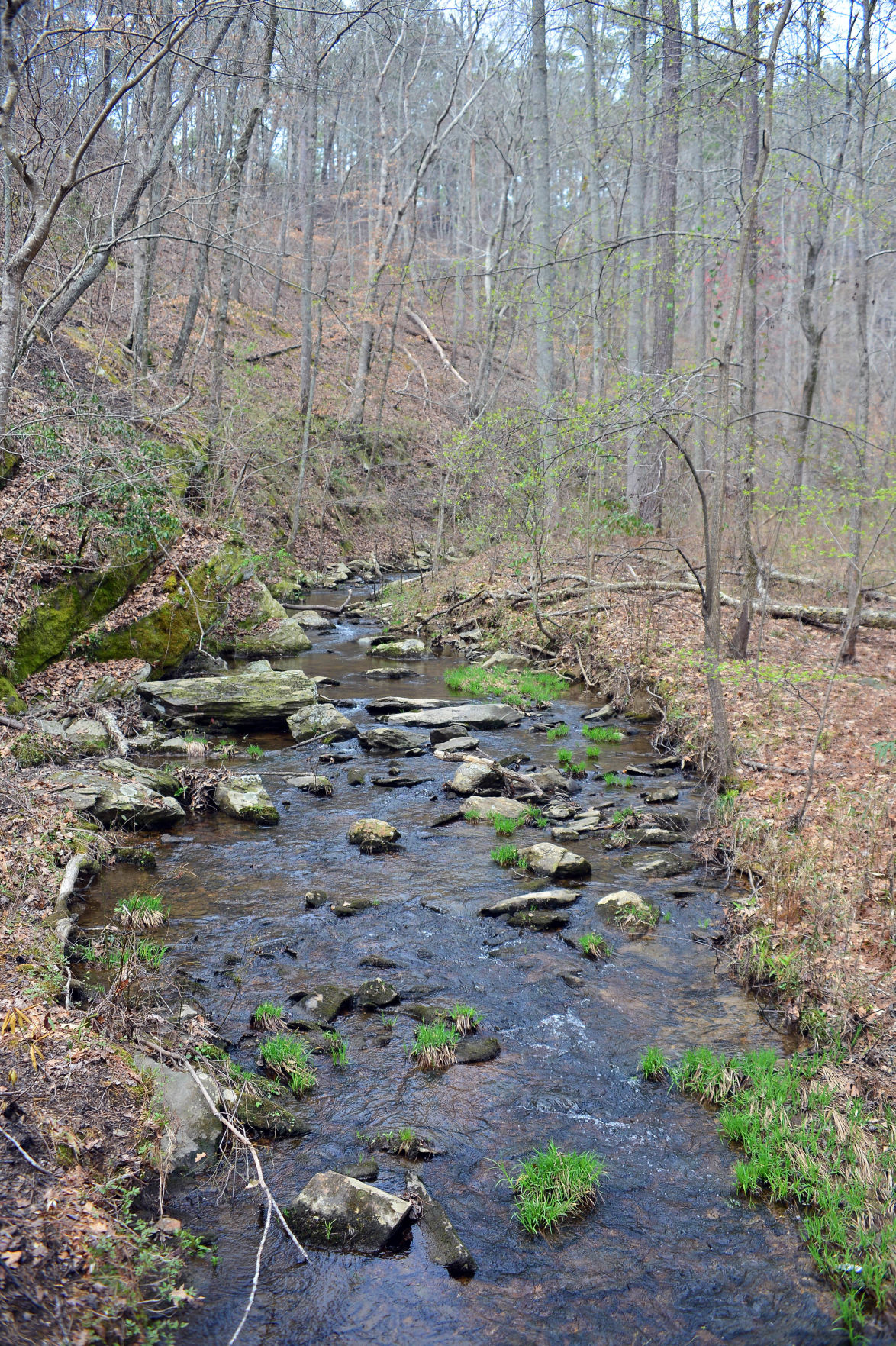 Sights Along The Proposed Heflin Spur Of The Pinhoti Trail | Slideshows ...