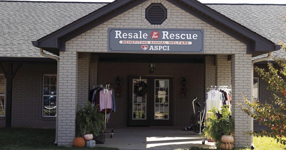 ASPCI second hand retail opens in Pell City to benefit animal welfare | The  St. Clair Times 