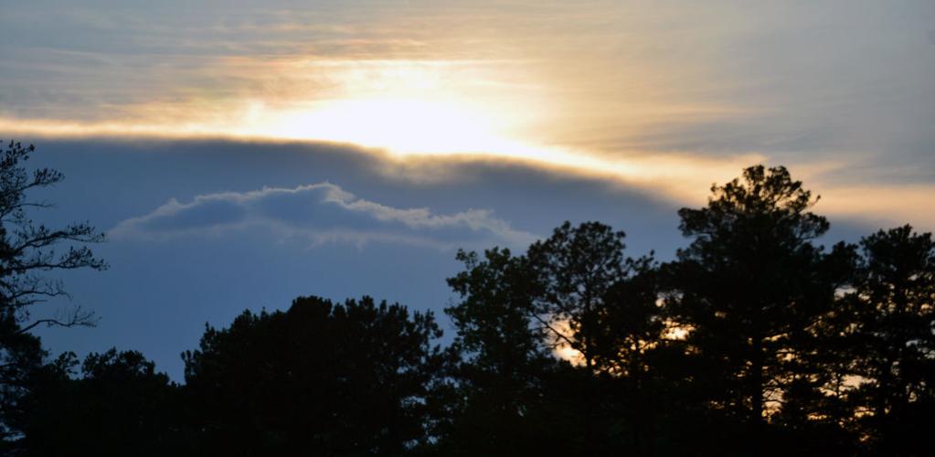 Images from Coleman Lake Slideshows