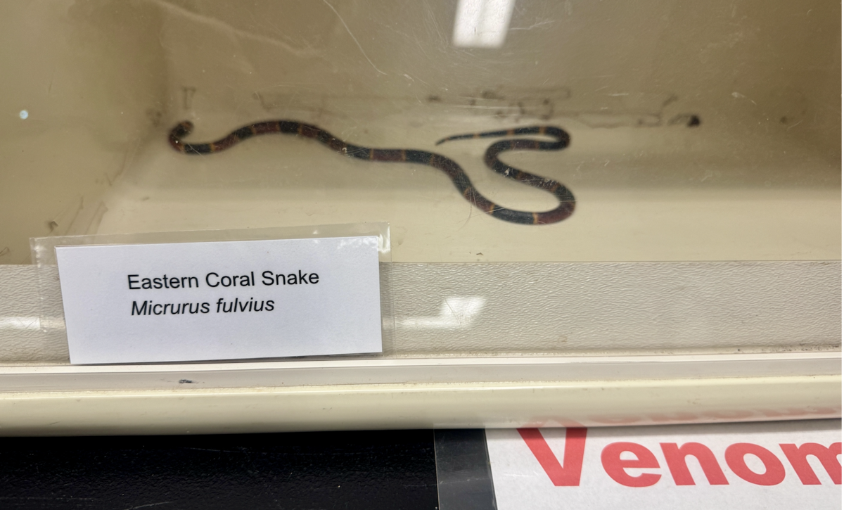 Venomous snake seminar helps first responders stay safe | Calhoun