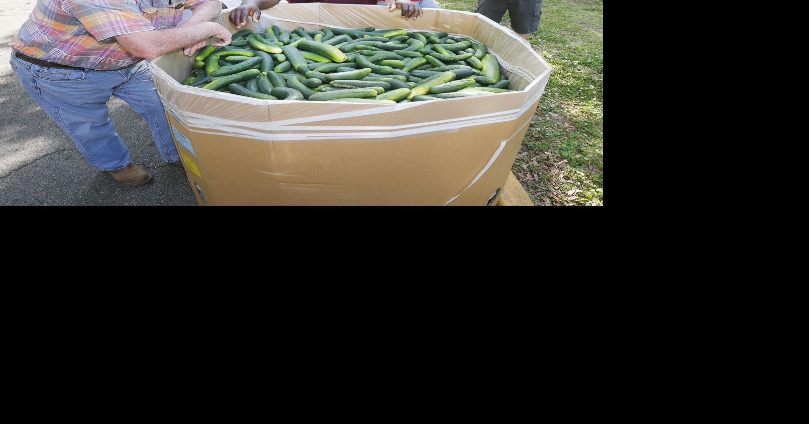 Charity continues to feed thousands in northeastern Alabama Cleburne
