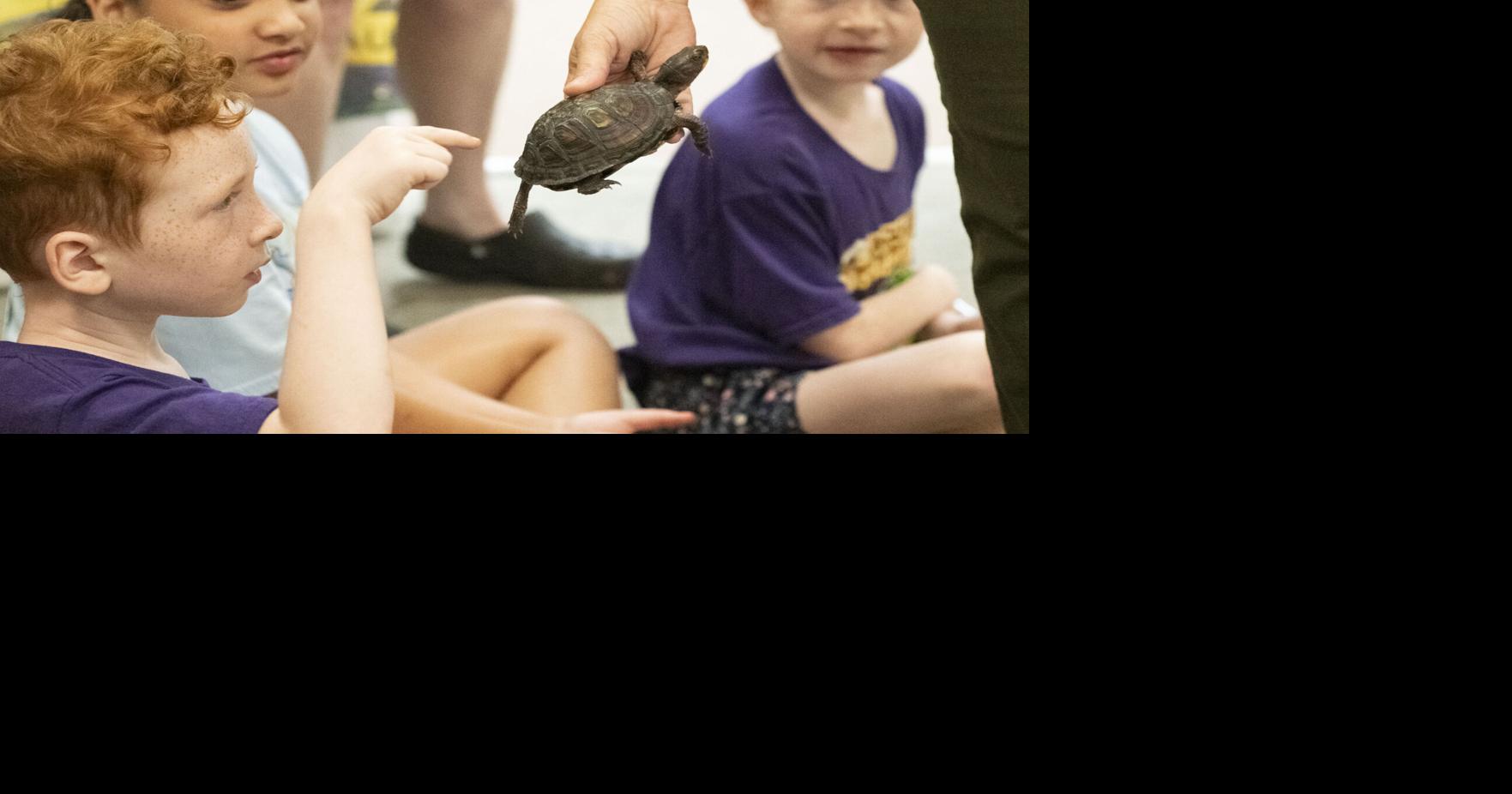 Photo Gallery: Munford Library hosts Mrs. Magoo's Reptile Zoo