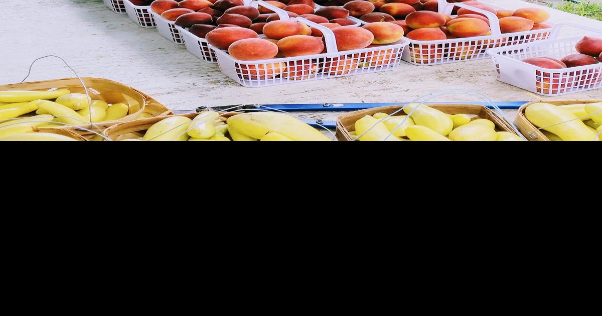 The Peach Man will be here Friday, June 18 Features