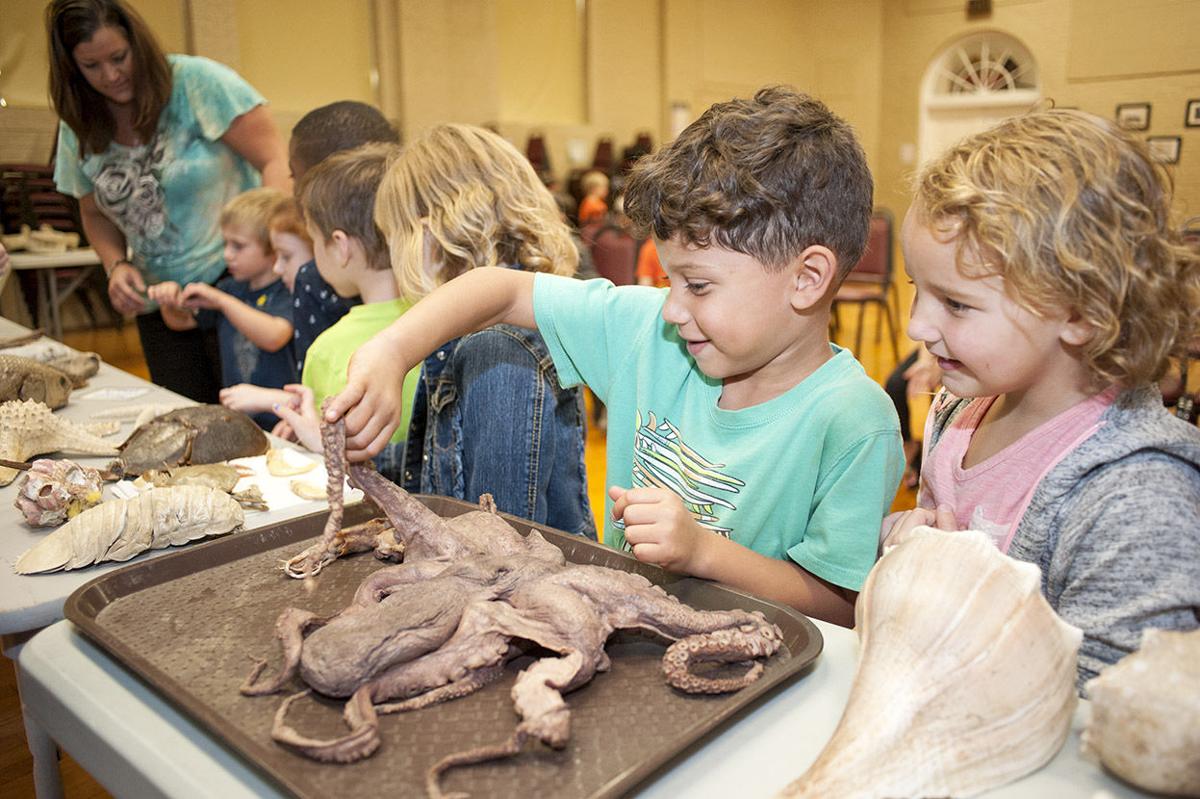 Dauphin Island Sea Lab traveling classroom visits R.L. Young Elementary