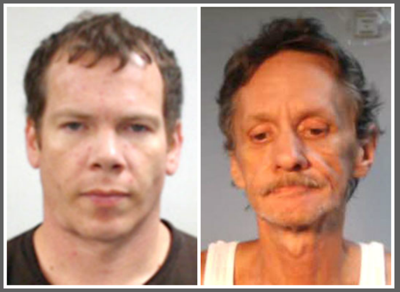 2 Pell City men arrested on drug charges in unrelated cases The St