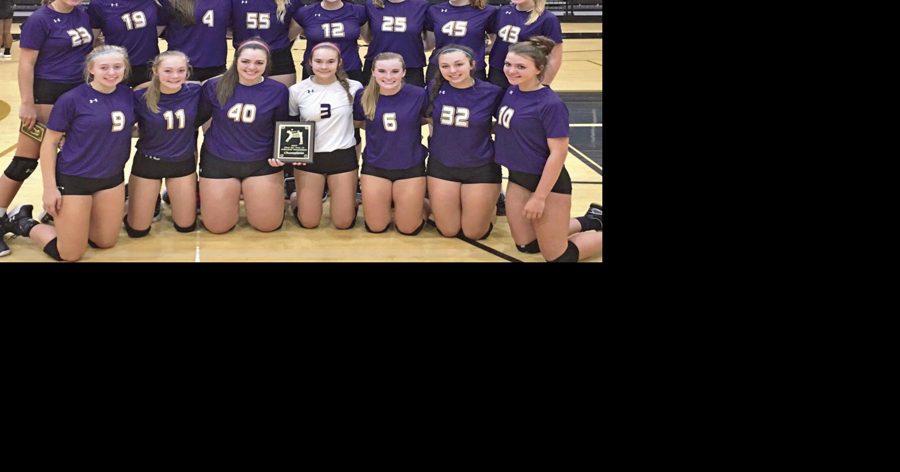 UPDATED Springville volleyball team makes presence felt in postseason