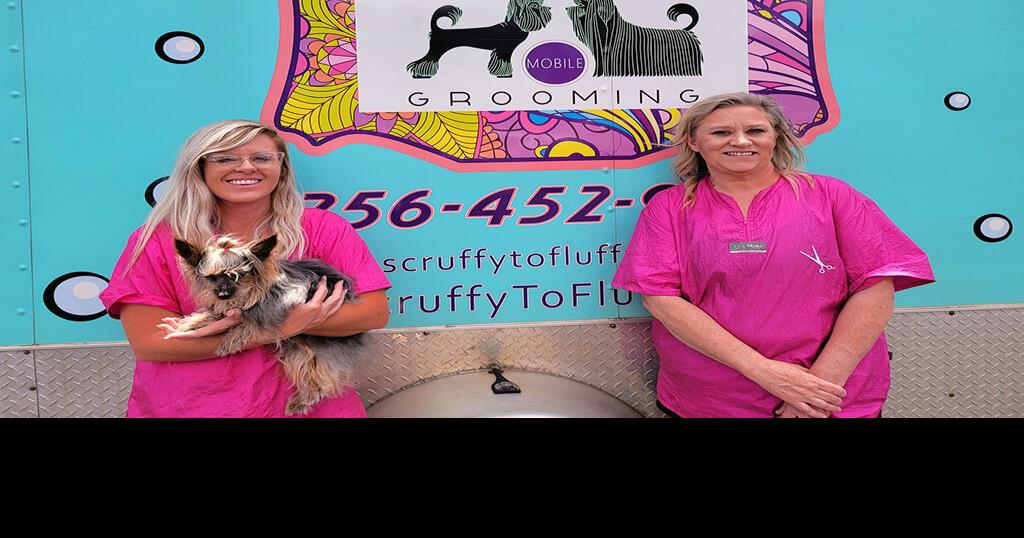 Dog owners rejoice over Scruffy to Fluffy Mobile Spa’s top notch
