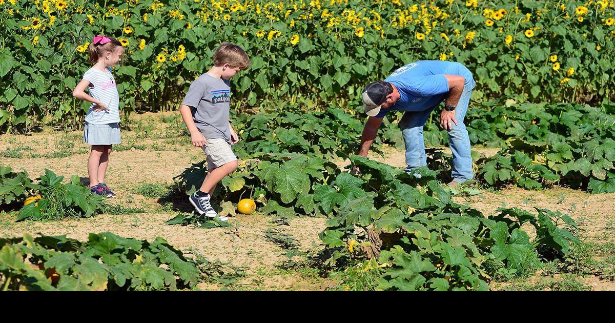 Halloween events, from haunted houses to kids’ festivals to 'Rocky