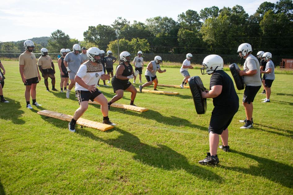 AnnistonStar.com - For Pell City, the wait is over; Panthers will face Green Wave on Friday image