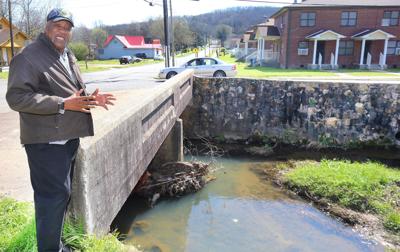 No Fences Activist Worries That Kids Need To Kept Out Of Pcb Laden Creek Anniston Annistonstar Com