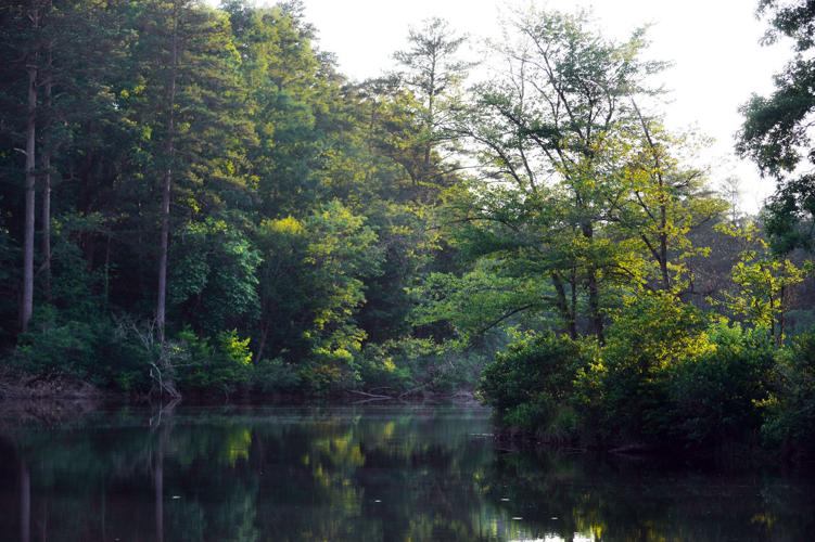 Images from Coleman Lake Slideshows