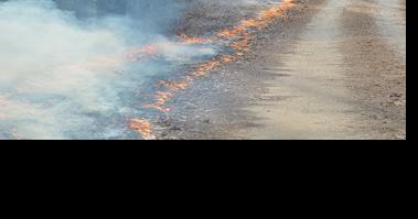Talladega County: Where there's smoke, there's a controlled burn | News - Vimarsana News