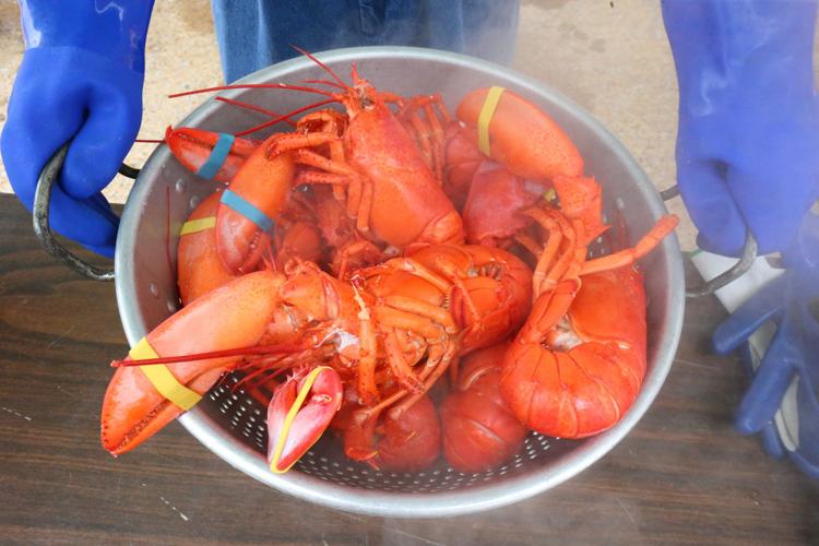 Lobsterfest News