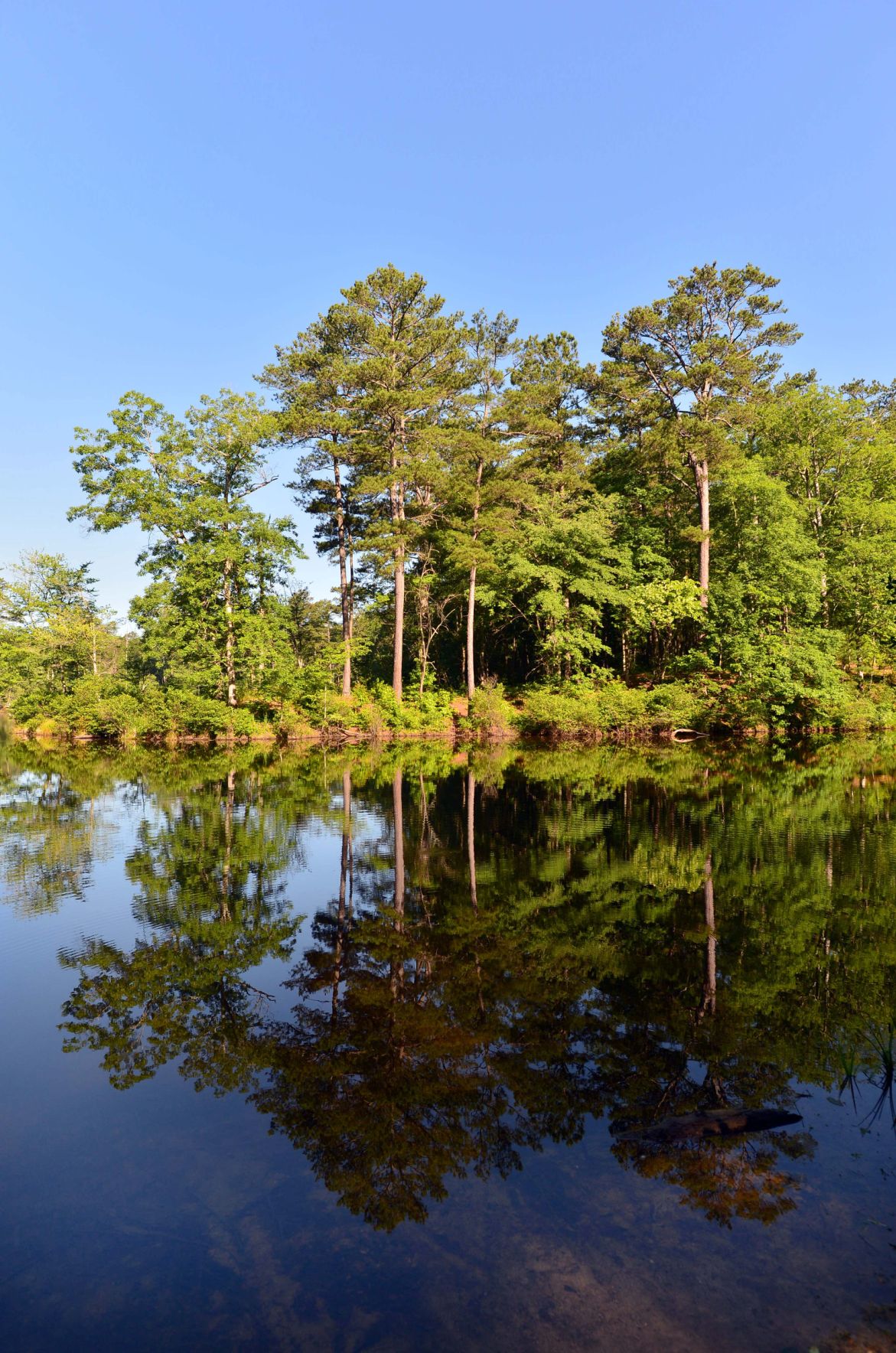Images from Coleman Lake Slideshows