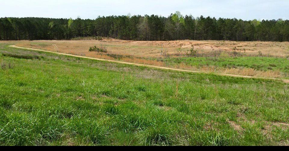 Cleburne landfill leaking as officials look for fix News