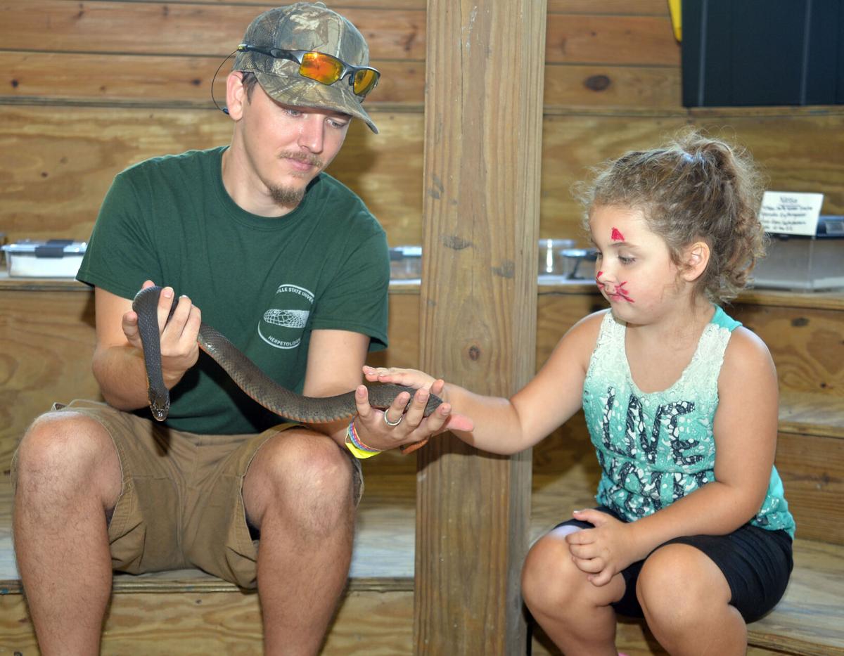 Anniston Museum and Gardens Fall Fest 15.JPG