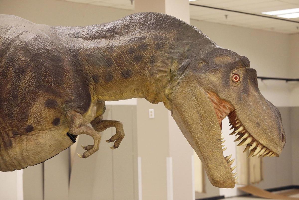 animatronic dinosaur skeleton