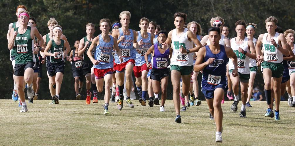 Prep cross country: Pleasant Valley boys, girls roll to sectional ...
