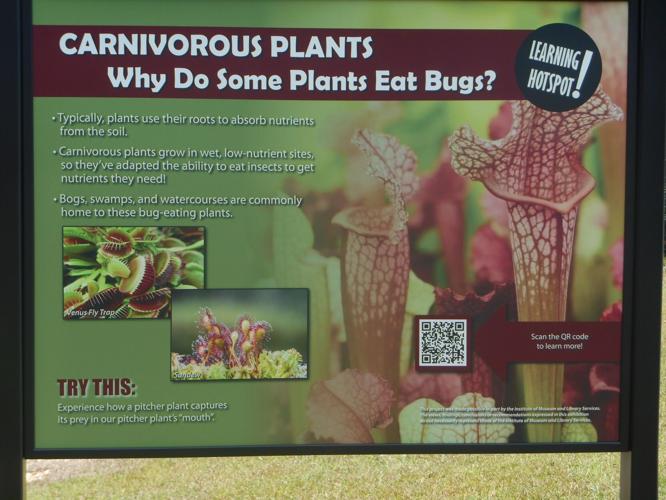 Gain nature knowledge with AMAG’s Learning Hot Spots Artists in