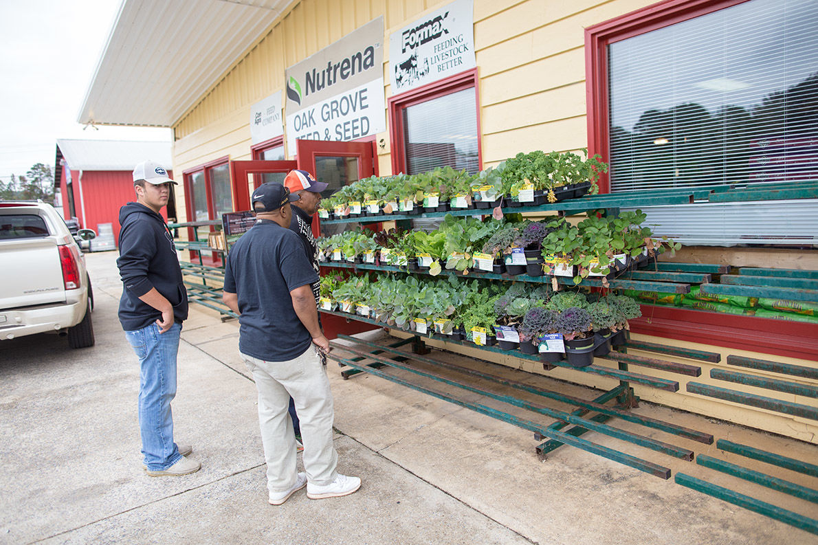 Oak Grove Feed and Seed (photo gallery) Slideshows