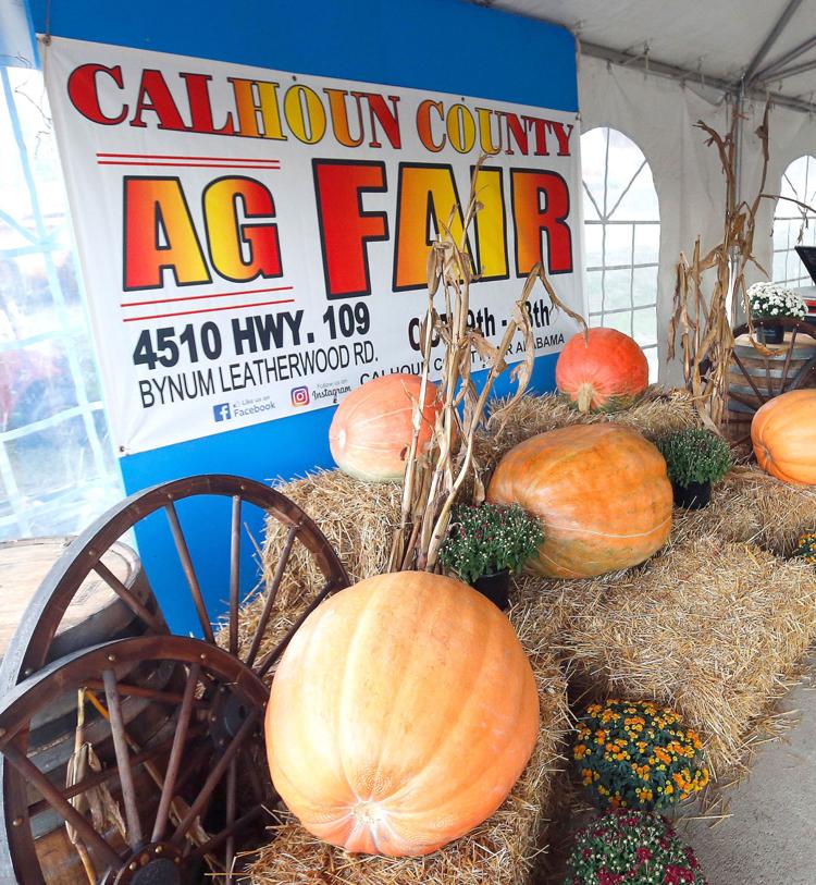 County fair in its final days Calhoun County