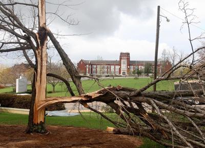 Jacksonville Begins Recovery After Strong Storms Sweep Through City Free Annistonstar Com