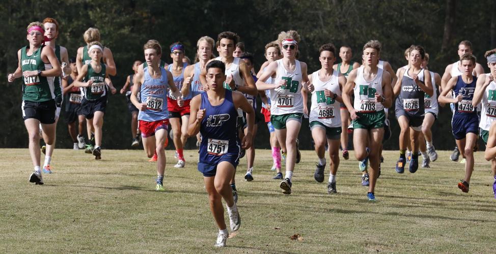 Photos AHSAA Cross Country Regionals at White Plains Slideshows