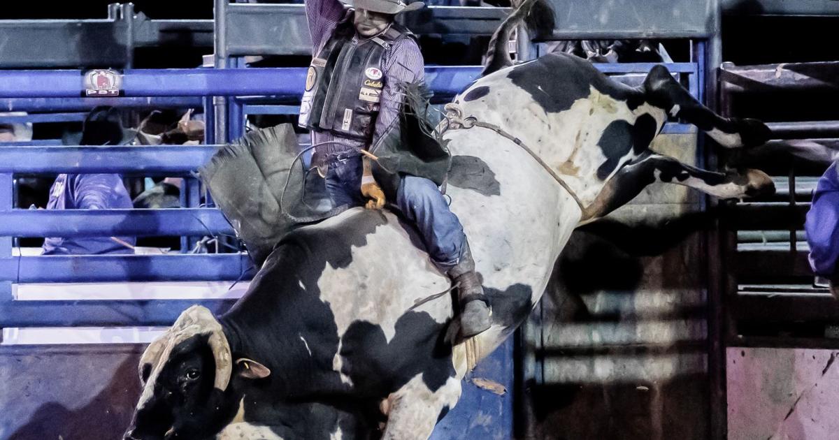 Rodeo coming to Heflin next weekend | Cleburne County | annistonstar.com