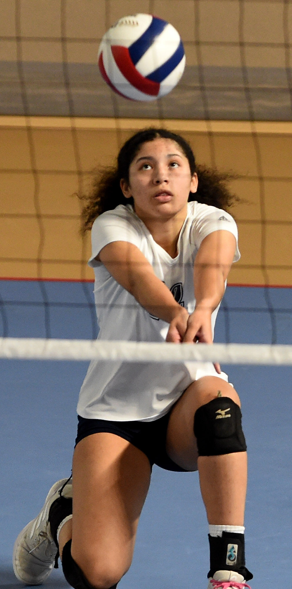 Photos Jacksonville in the state volleyball tournament Slideshows