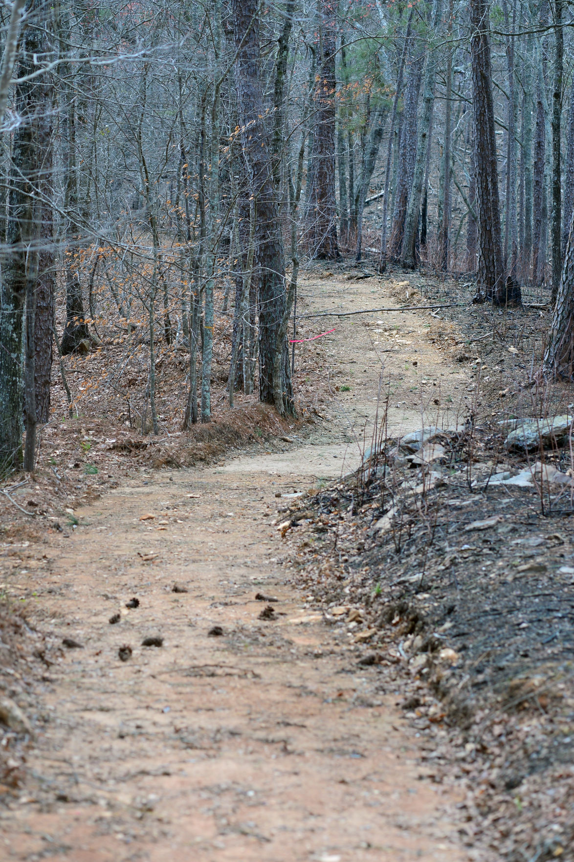 Sights Along The Proposed Heflin Spur Of The Pinhoti Trail | Slideshows ...