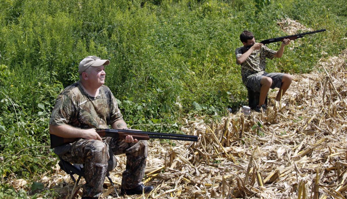 Outdoors Is it dove shooting or dove hunting Outdoors