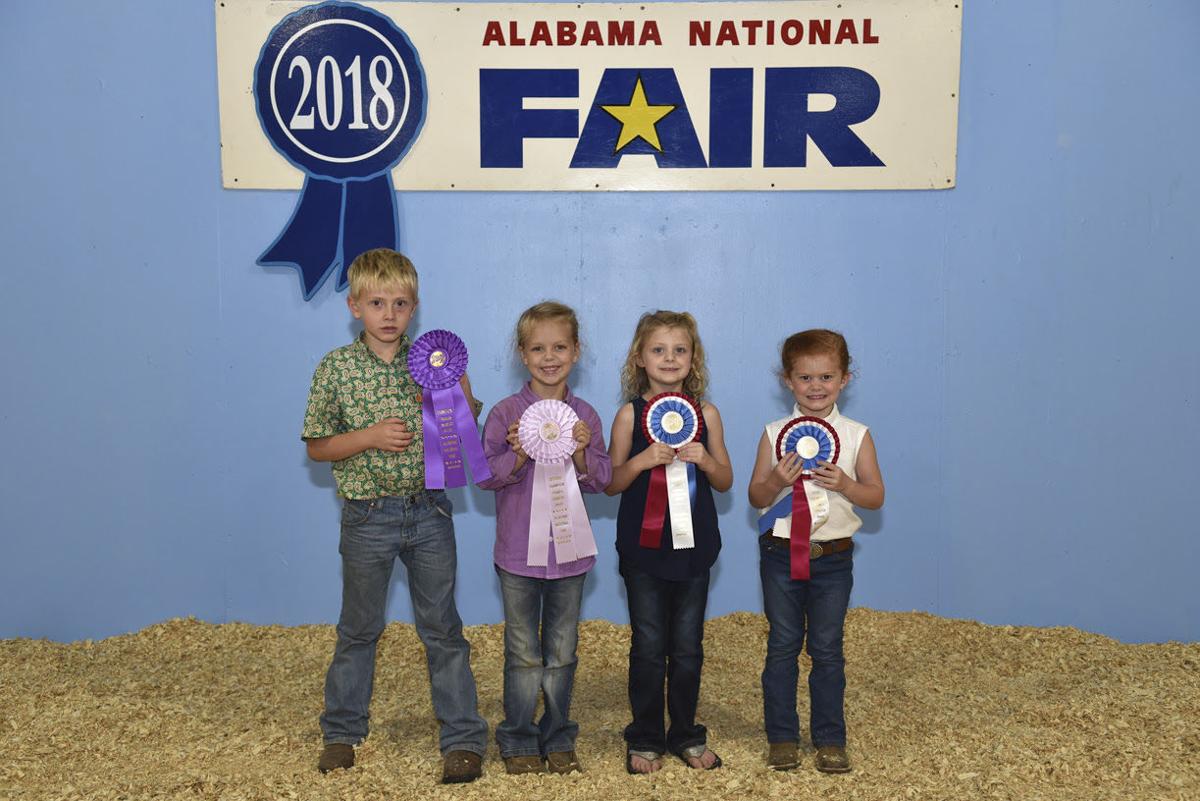 Alabama National Fair-sheep 2018 (1).jpg
