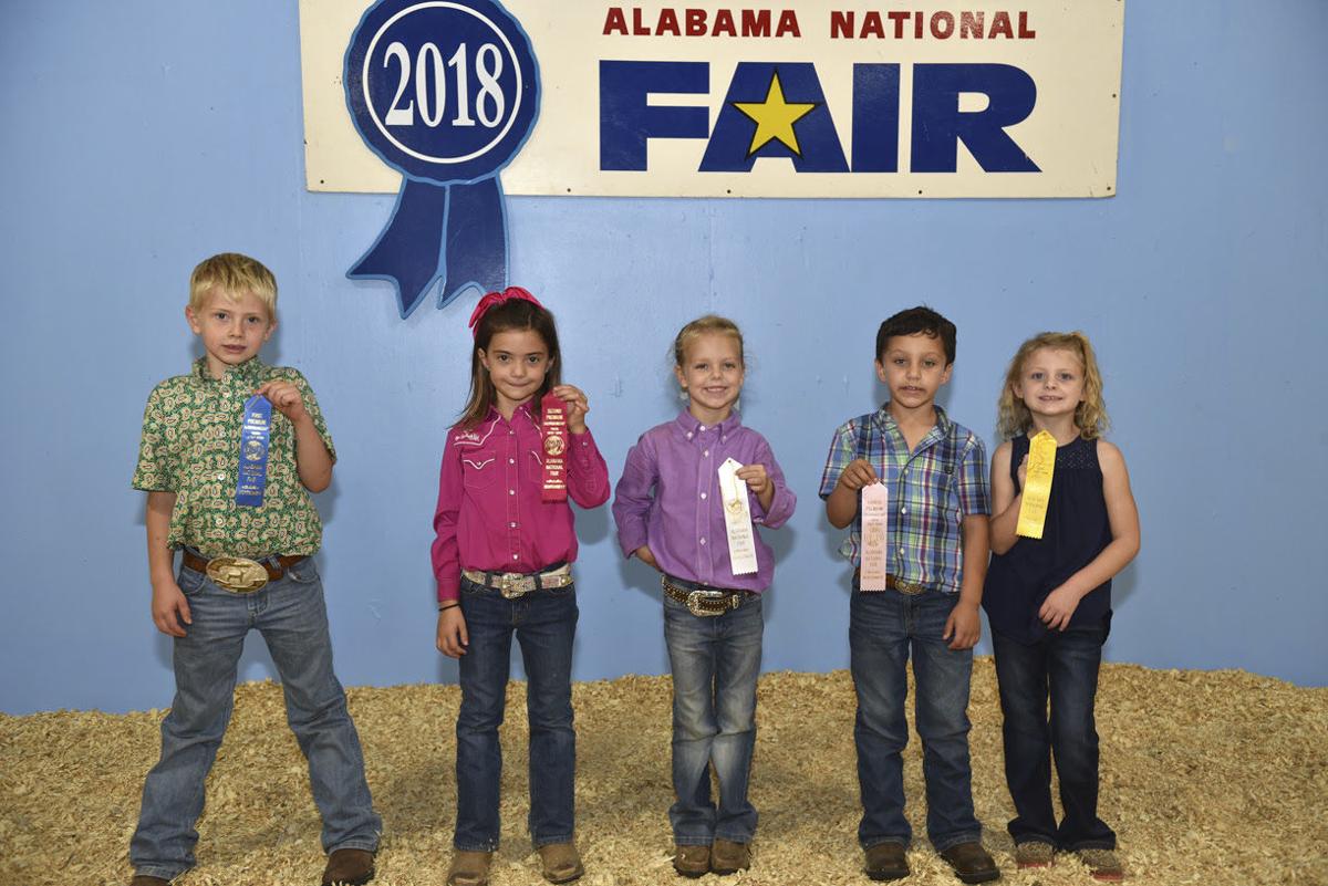 Alabama National Fair-sheep 2018 (2).jpg